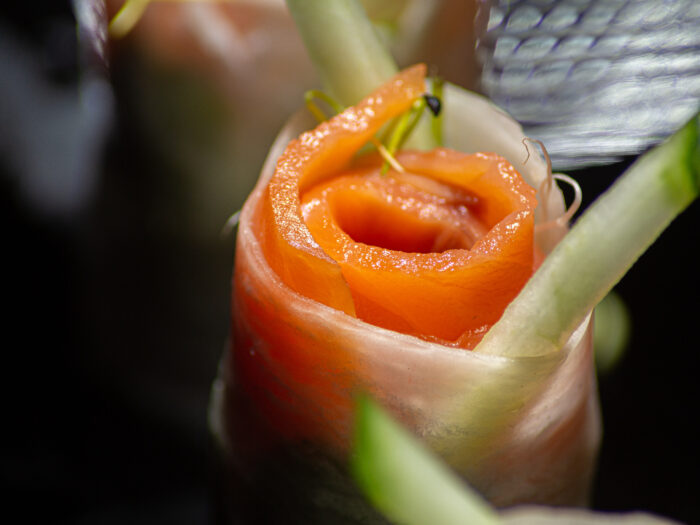 Tours de radis x saumon fumé, salade de roquette sauce vinaigrette à l&rsquo;orange & crème d&rsquo;avocat