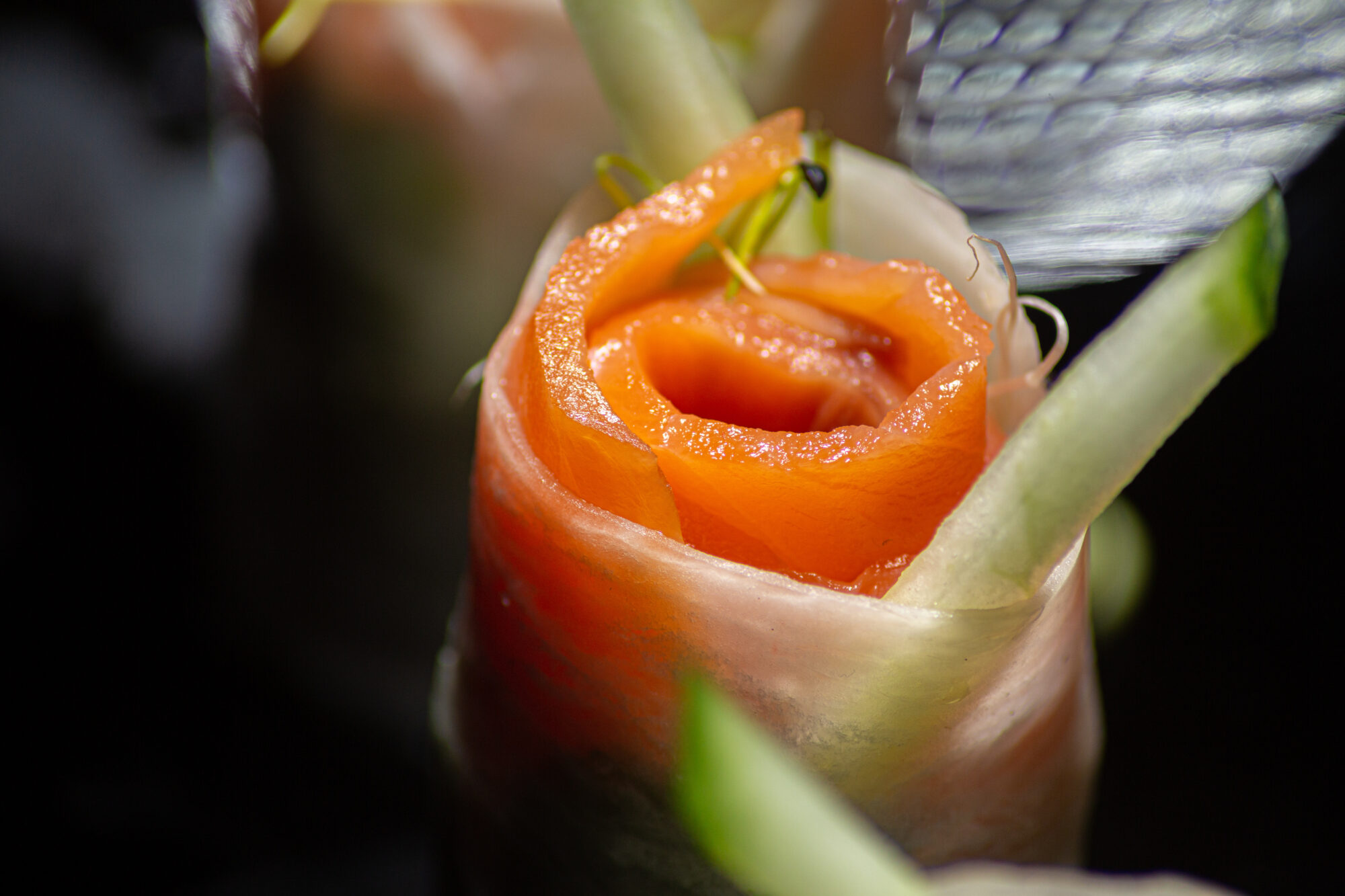 Tours de Daïkon x saumon fumé, salade de roquette sauce vinaigrette à l'orange & crème d'avocat