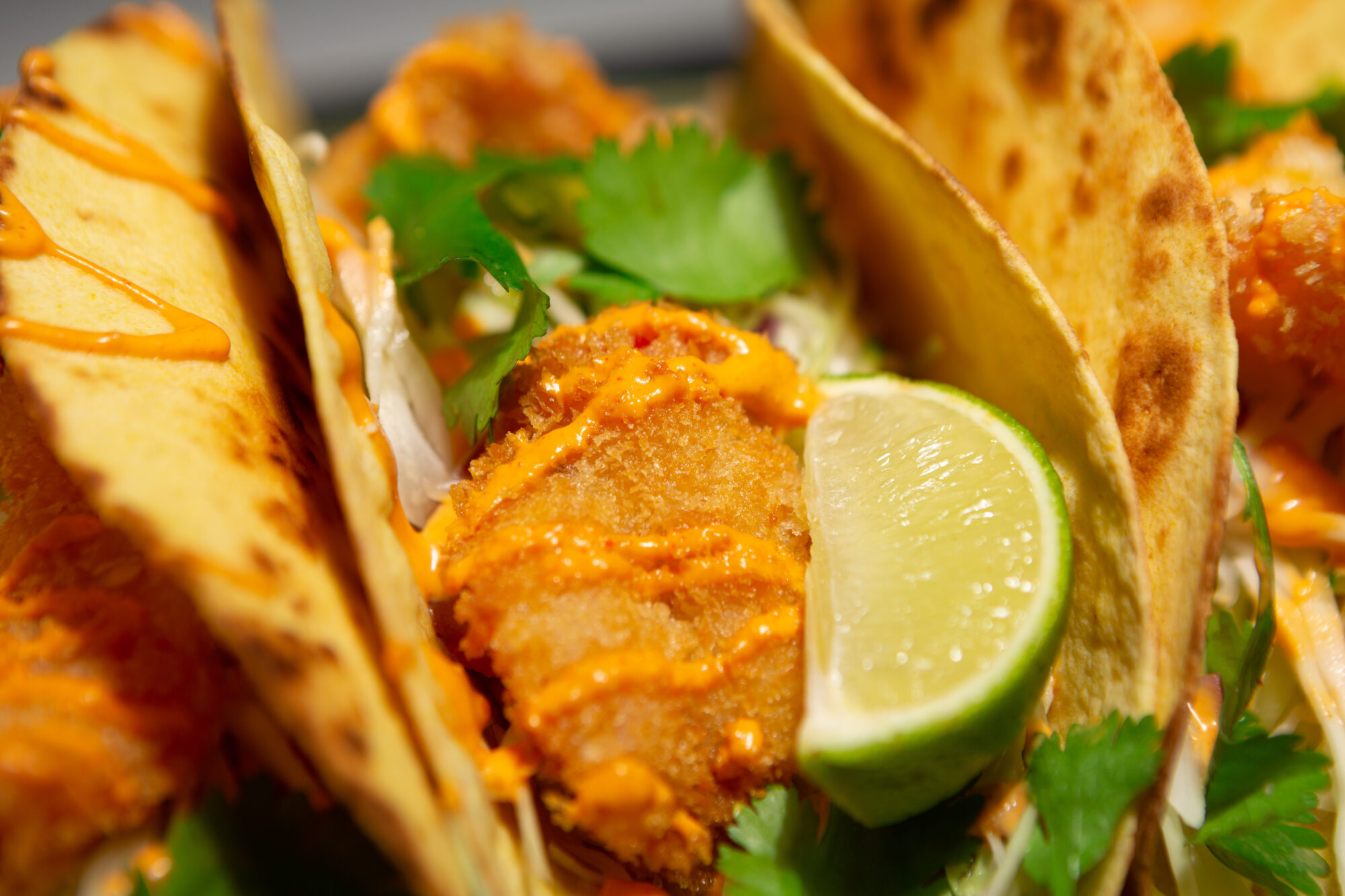 tacos gambas panées